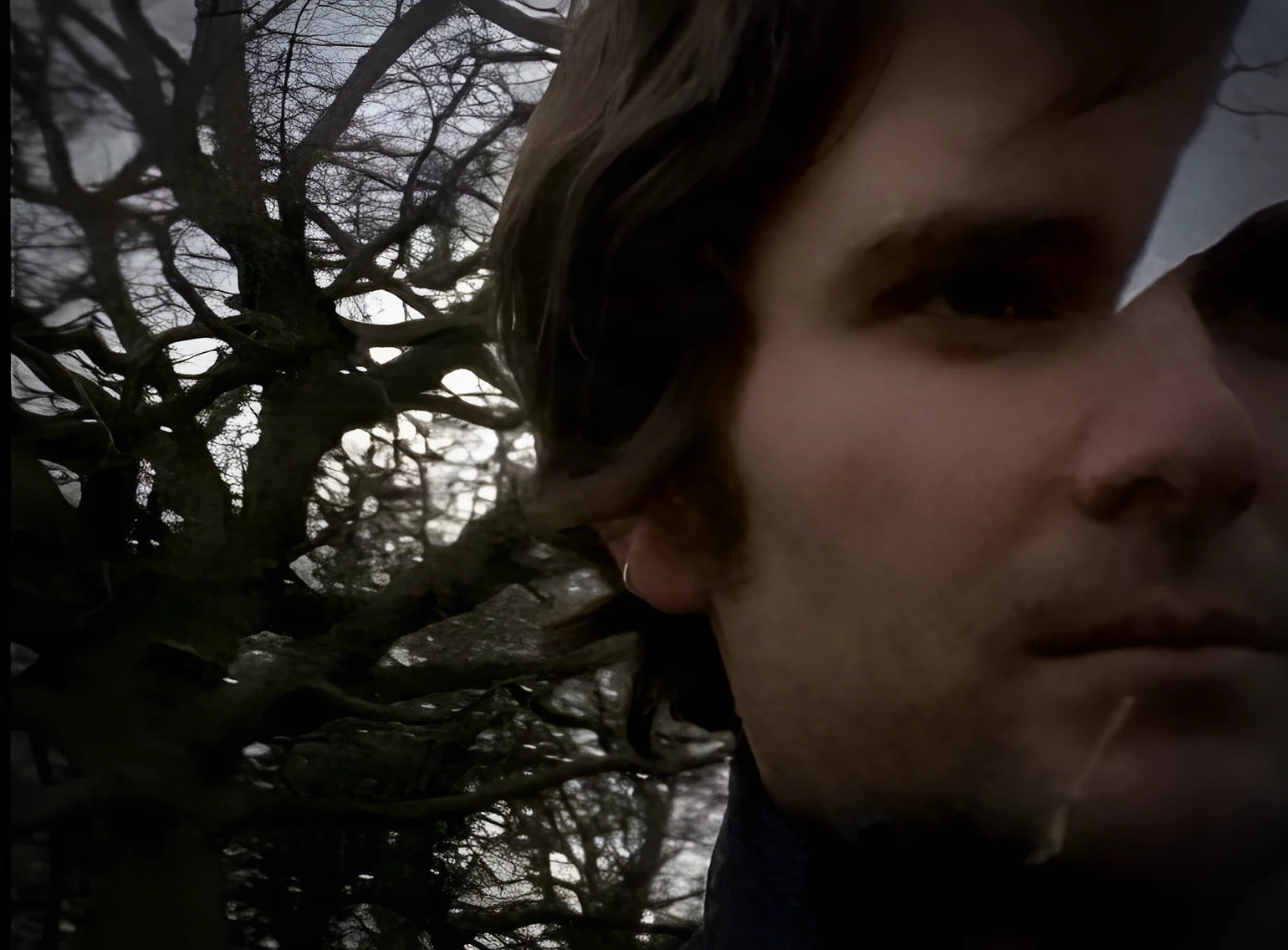 A close-up of a man overlaid with tree branches, in a frame from the Gain music video.