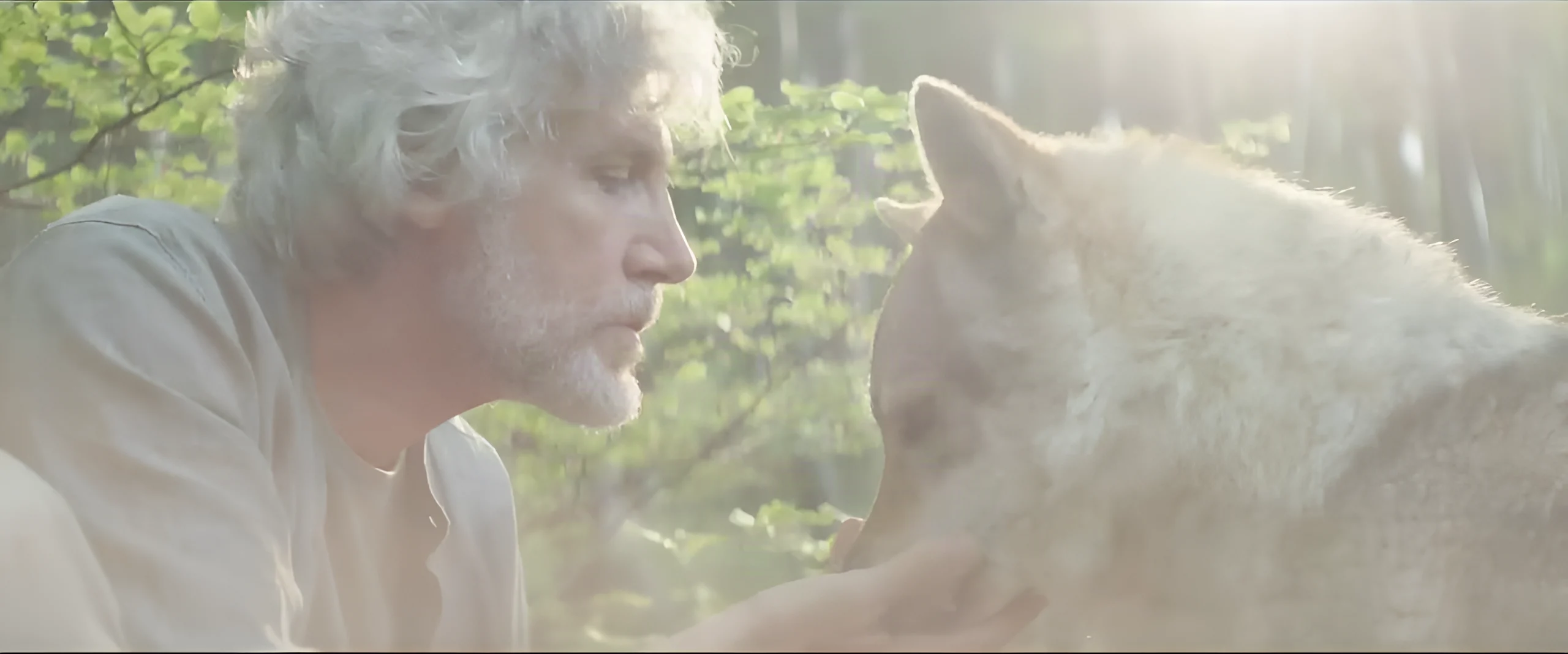 A man and an animal facing each other in woodland, in the Nature Conservacy video.