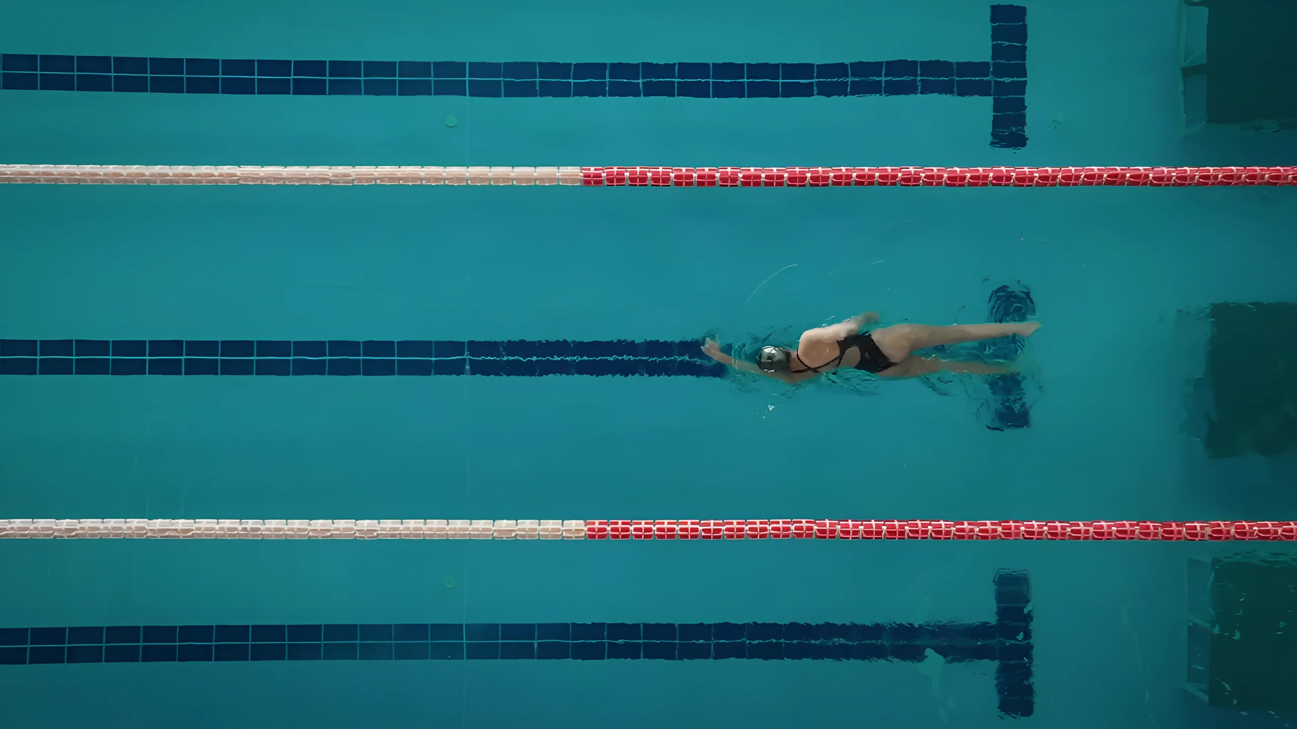 A swimmer crosses a pool seen from above, between red and blue lane ropes.